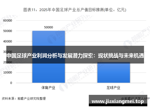 中国足球产业利润分析与发展潜力探索：现状挑战与未来机遇