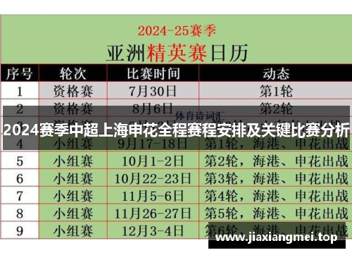 2024赛季中超上海申花全程赛程安排及关键比赛分析