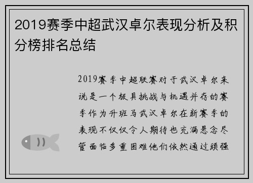 2019赛季中超武汉卓尔表现分析及积分榜排名总结